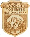 Wooden junior ranger badge