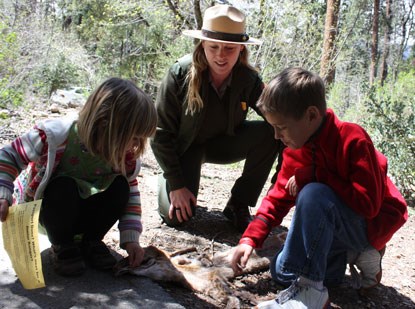 Ranger examines pelt on ground with two children