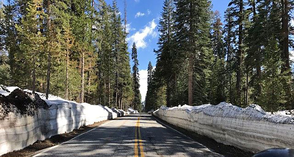 Glacier Point Road with snow on both sides and trees
