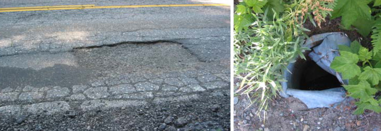 Glacier Point Road with snow on both sides and trees