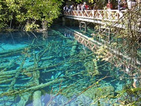 Visitors on elevated bridge walk over blue water