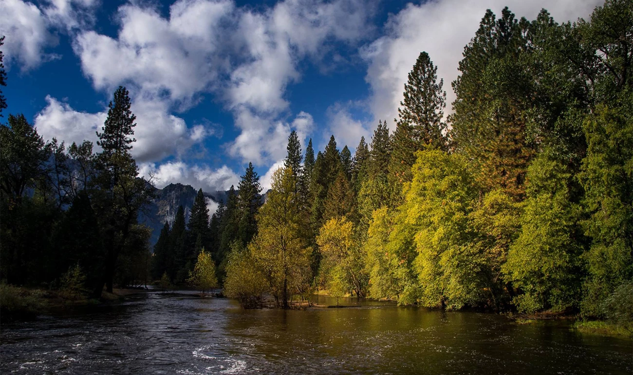 Merced River looking downstream from Superintendent's Bridge. Merced River looking downstream from Superintendent's Bridge.