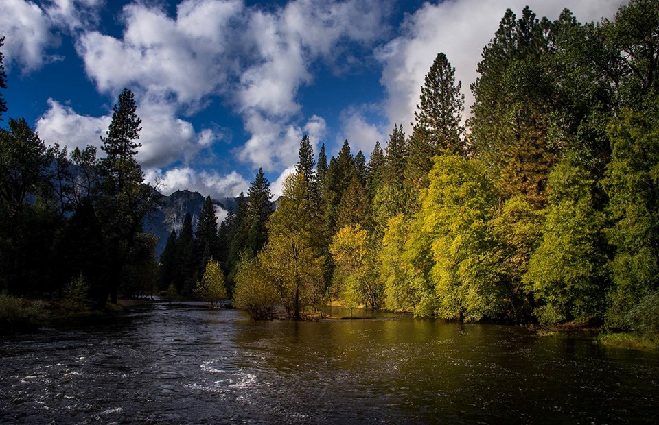 Merced River looking downstream from Superintendent's Bridge.