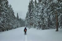 Winter travel on Tioga Road, December 2003.