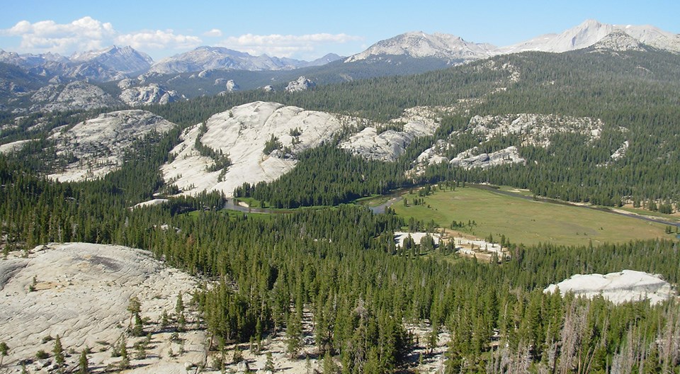 Tuolumne Meadows and river running through it with nearby granite dome and peaks in view