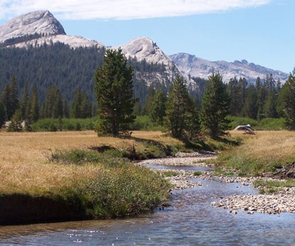 tuolumneriverweb tuolumneriverweb