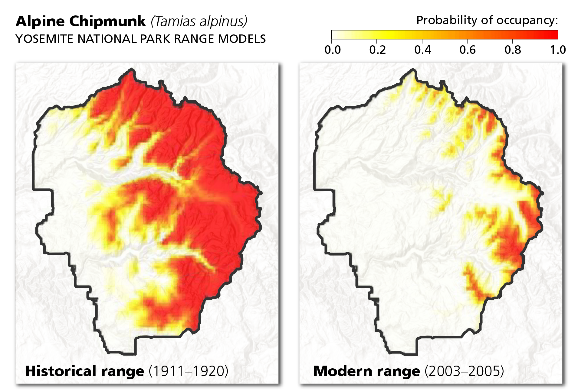 Two maps show historic and modern range of the alpine chipmunk. Modern range is much smaller than historic range, and limited to mountaintops.