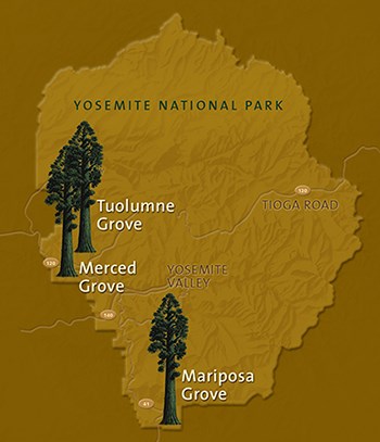Map showing the location of three sequoia groves in Yosemite