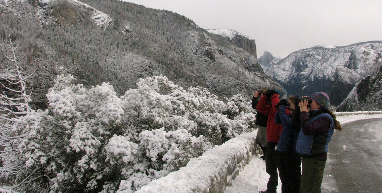 Birders along the Wawona Road just south of Yosemite Valley 2015