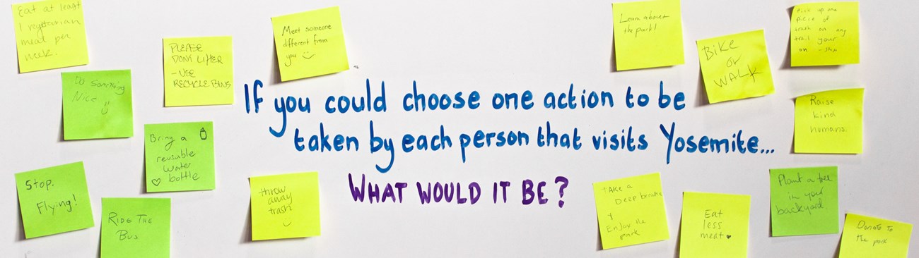 A whiteboard question reads "If you could choose one action to be taken by each person that visits Yosemite...what would it be?"