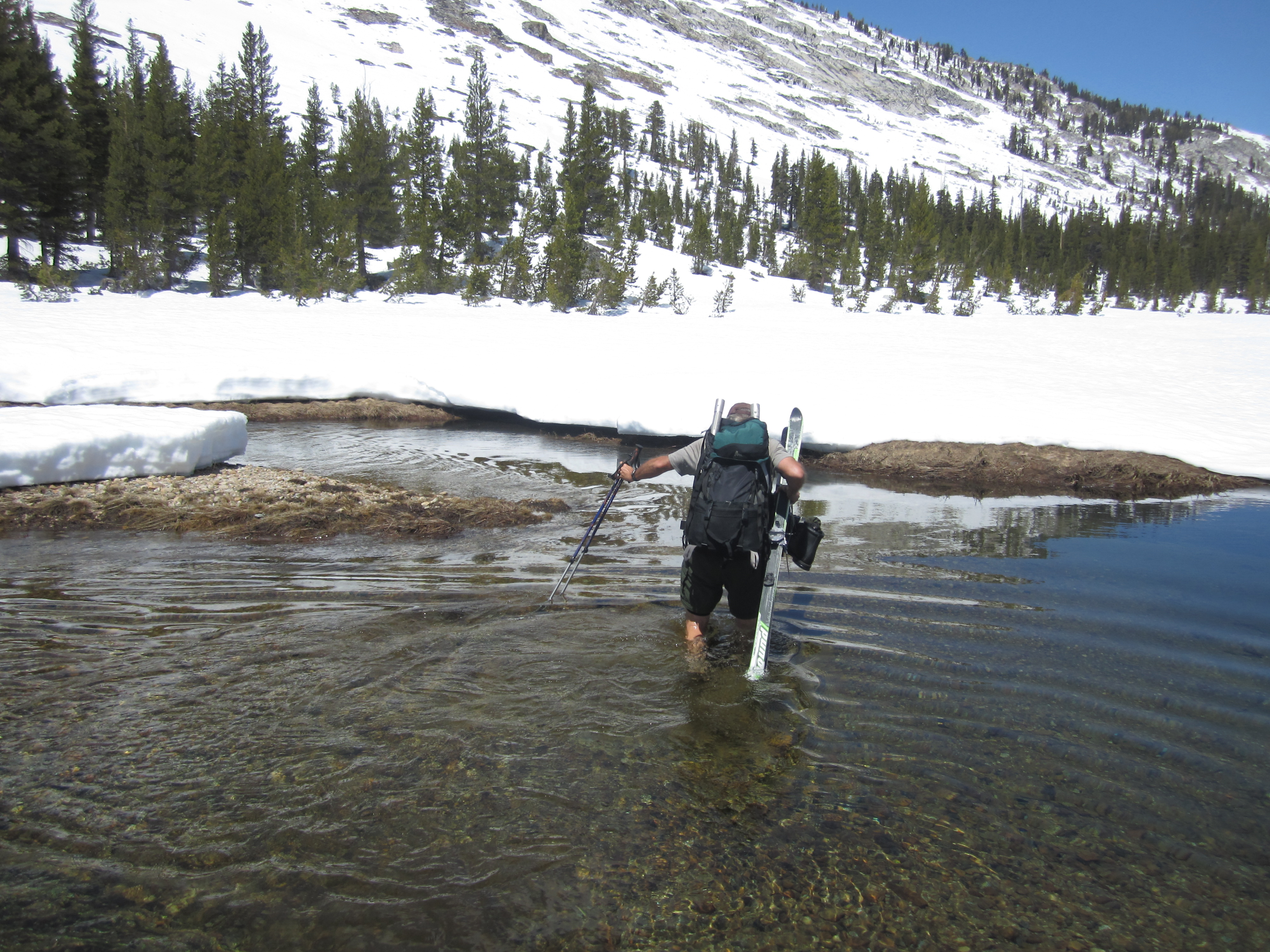 Man with skis tied to pack wades a flowing river in a snow-covered meadow, wearing shorts.