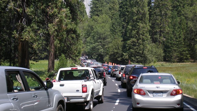 Heavy traffic blocks both lanes on a park road.