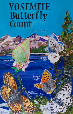 Watercolor showing Sierra sulphur, heather blue, American copper, rockslide checkerspot, and Sierra Nevada parnassian with a lake in the background. Illustration by Liam O'Brien 8/16