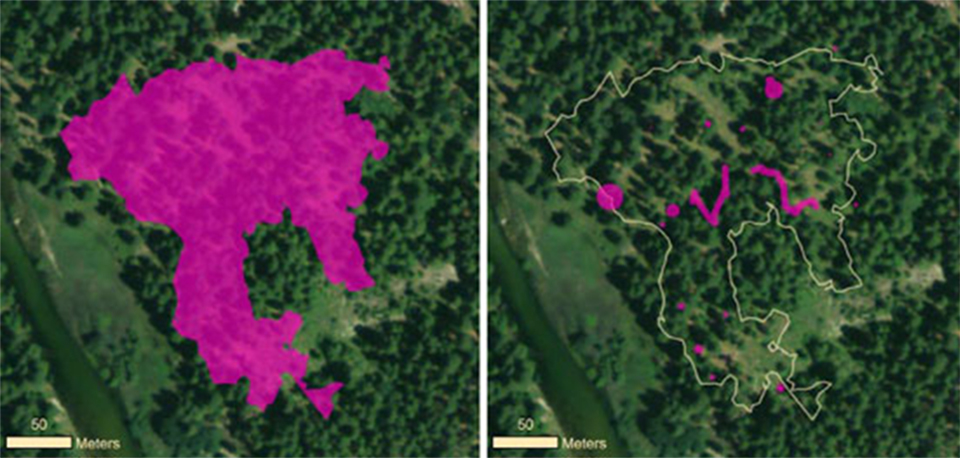 Map showing pre- and post-treatment blackberry occurrence