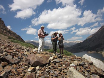 Jeffrey Glassberg, Karen Amstutz, and Ryan Carlton searching for butterflies. Jeffrey Glassberg, Karen Amstutz, and Ryan Carlton searching for butterflies.