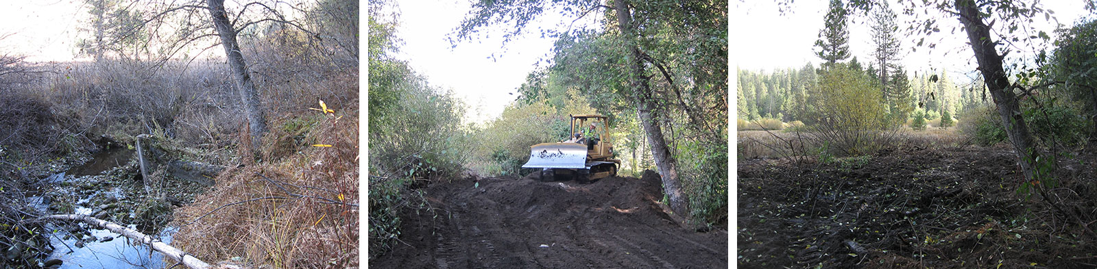 Before, during, and after images of a section of the Wawona Meadow.