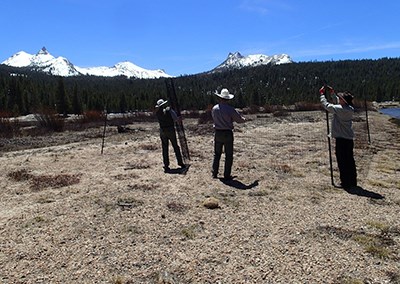 Park staff putting up deer fencing in Tuolumne Meadows in 2014