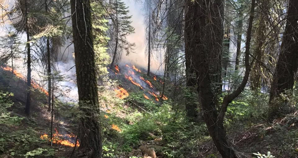 Empire Fire burning along the Glacier Point Road in 2017 Empire Fire burning along the Glacier Point Road in 2017