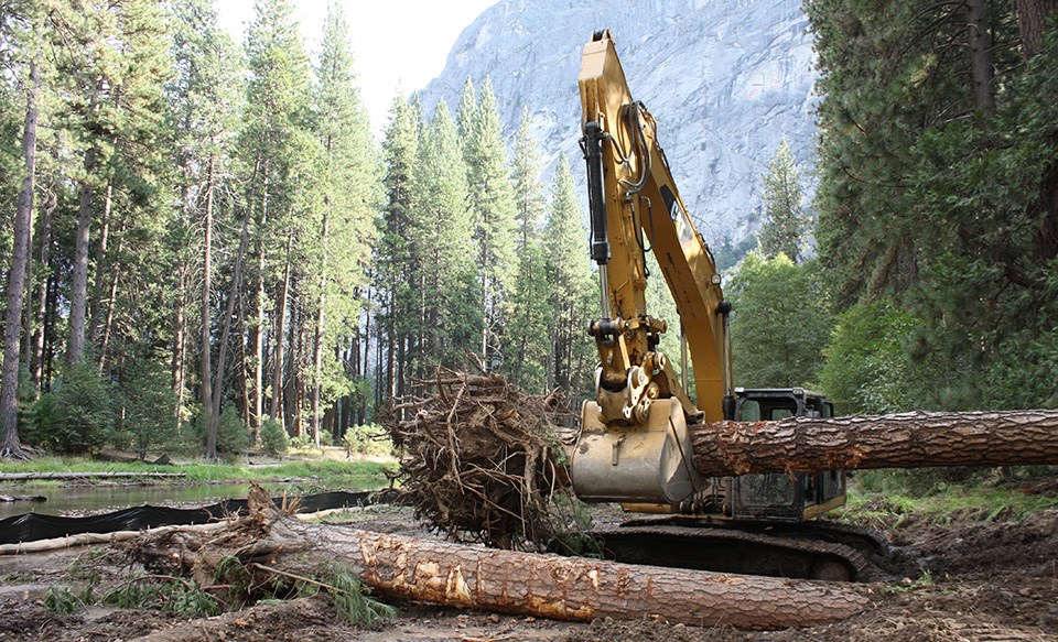 An excavator moves a piece of large wood into the river.