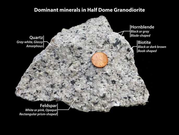 Half Dome Granodiorite showing quartz, feldspar, hornblende, and biotite