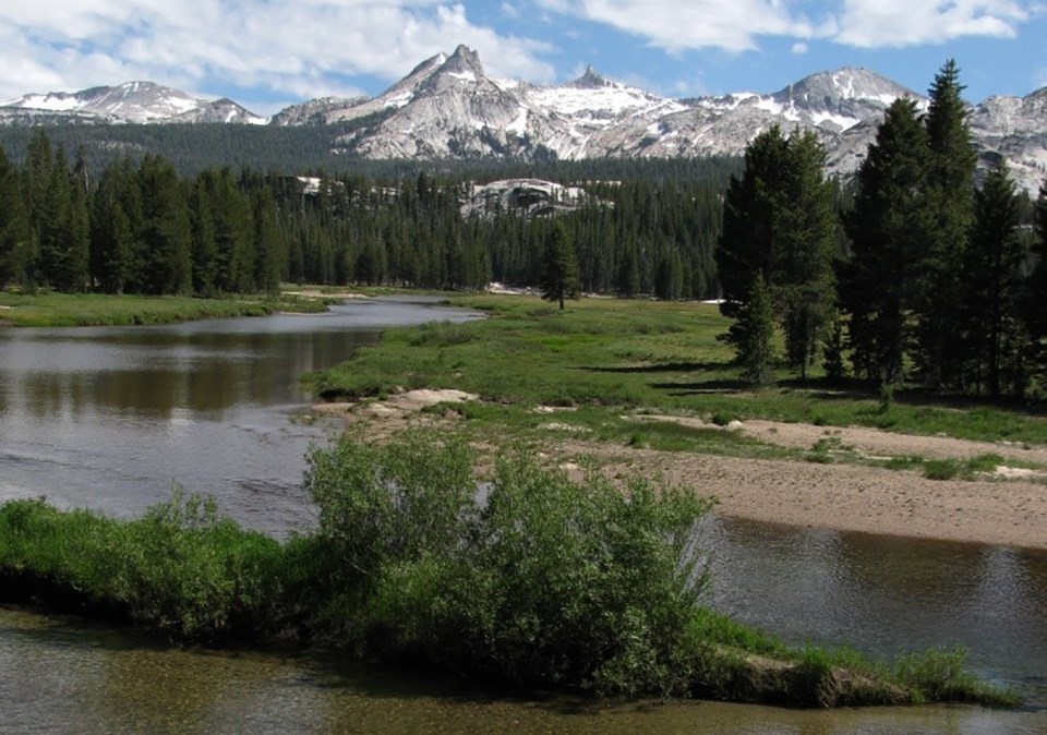 Meadow and riparian vegetation in Tuolumne Meadows Meadow and riparian vegetation in Tuolumne Meadows
