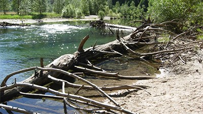 Pieces of large wood in the Merced River.