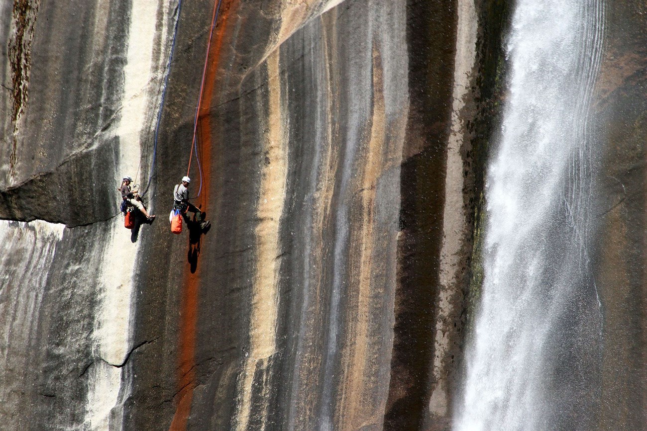 Two people hang from climbing ropes against a lichen-covered vertical rock face