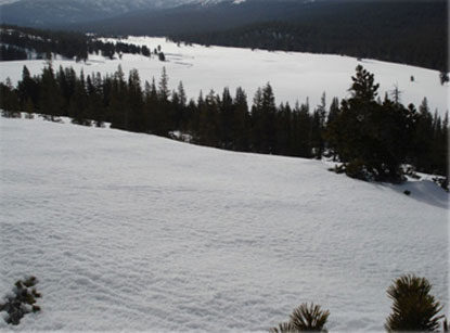 Snow-covered landscape