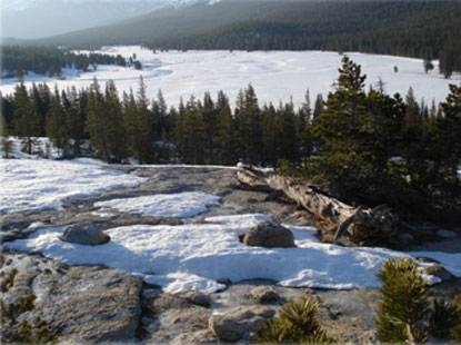 Areas of flooding show in meadow landscape