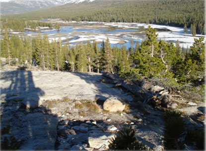 Water covers the meadow landscape