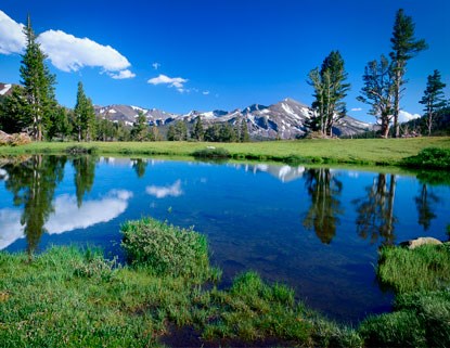 Water saturates Tuolumne Meadows with a scenic reflection