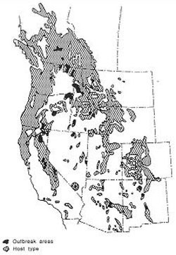 Graphic of moth districution in Westen U.S.