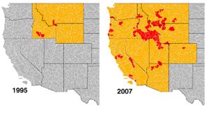Two maps of Southwestern U.S. show in red the increase of mud snail infestations