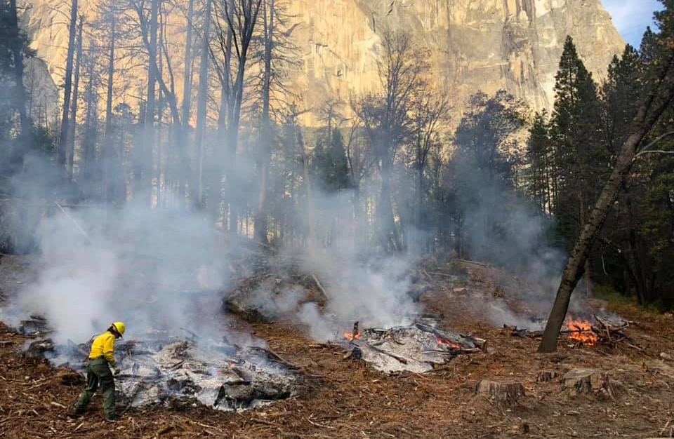 Pile burning in Yosemite Valley Pile burning in Yosemite Valley