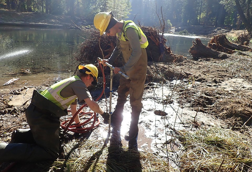 Restoration workers plant willow poles using a hydrodrill.