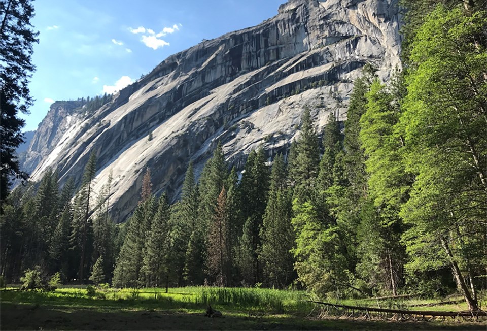 Royal Arches Meadow in Yosemite Valley.