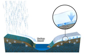 graphic of meadow landscape above and below surface