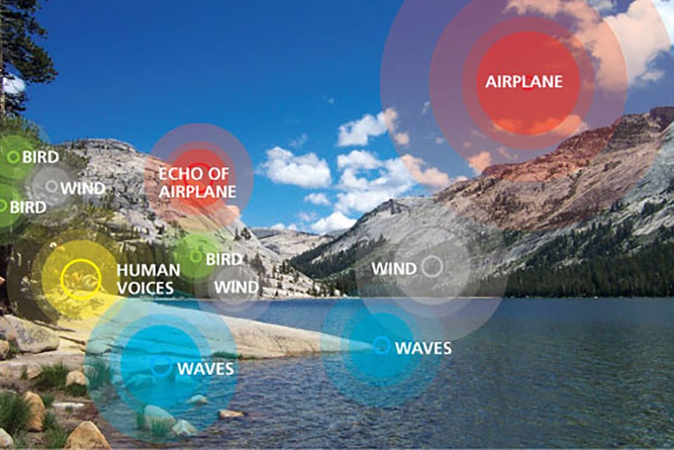 Graphic showing sources of noise in a park landscape