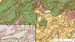 Close-up of one section of Yosemite map with many subtle colors indicating vegetation zones