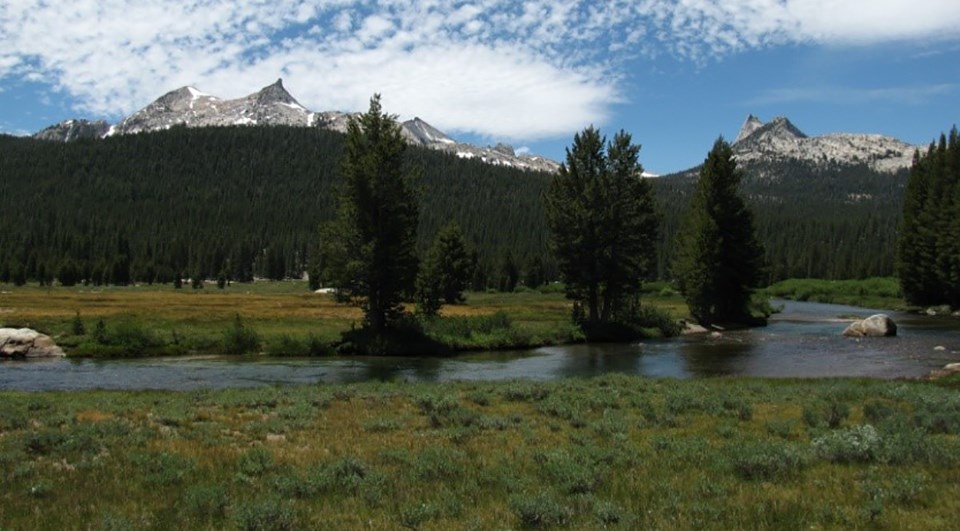Image showing scenic interface of meadow, river, forest, and granite peaks in Tuolumne Meadows