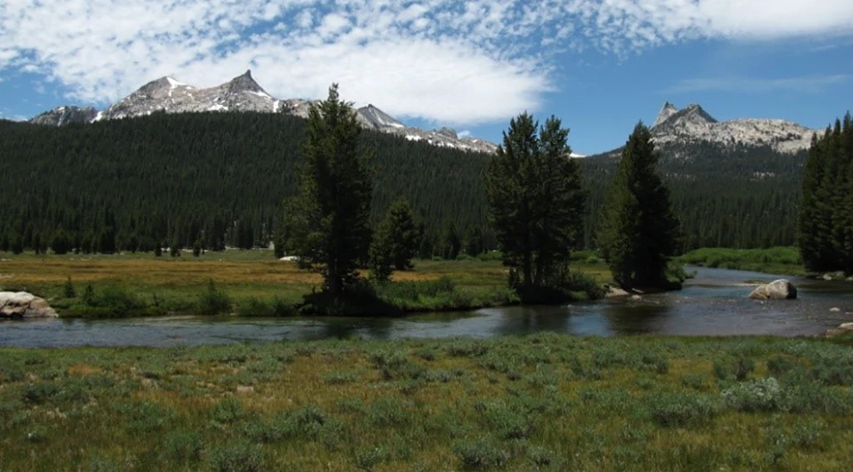 Tuolumne Meadows with river Image showing scenic interface of meadow, river, forest, and granite peaks in Tuolumne Meadows