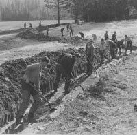historic b&w image of men working with shovels in ditch historic b&w image of men working with shovels in ditch
