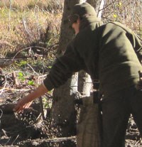 Seeds fall from hand of uniformed ranger