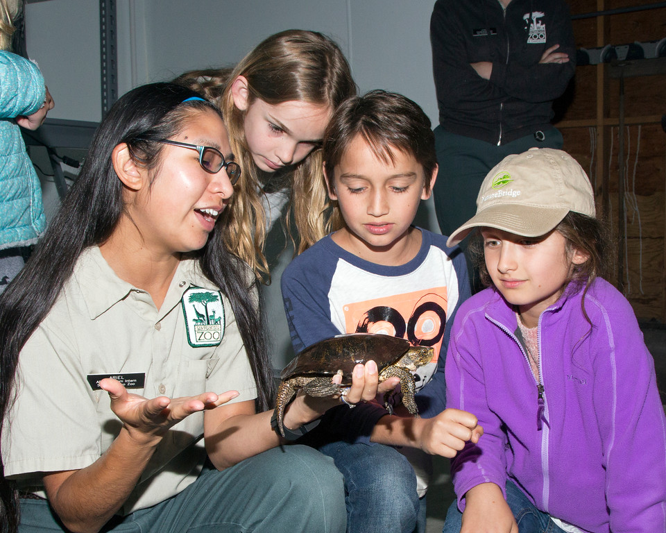 Zoo employee showing turtle to children