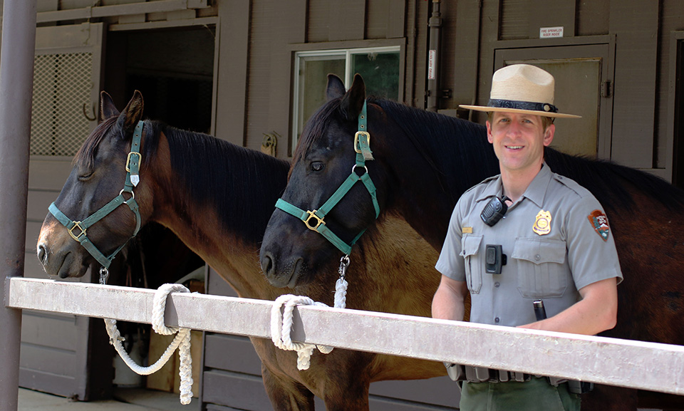 Ranger Justin Fey with two new mustangs Ranger Justin Fey with two new mustangs