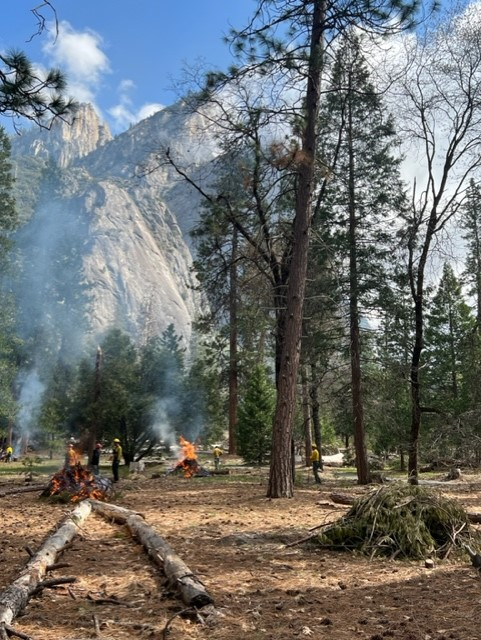 Fire personnel burning piles in Yosemite Valley Fire personnel burning piles in Yosemite Valley