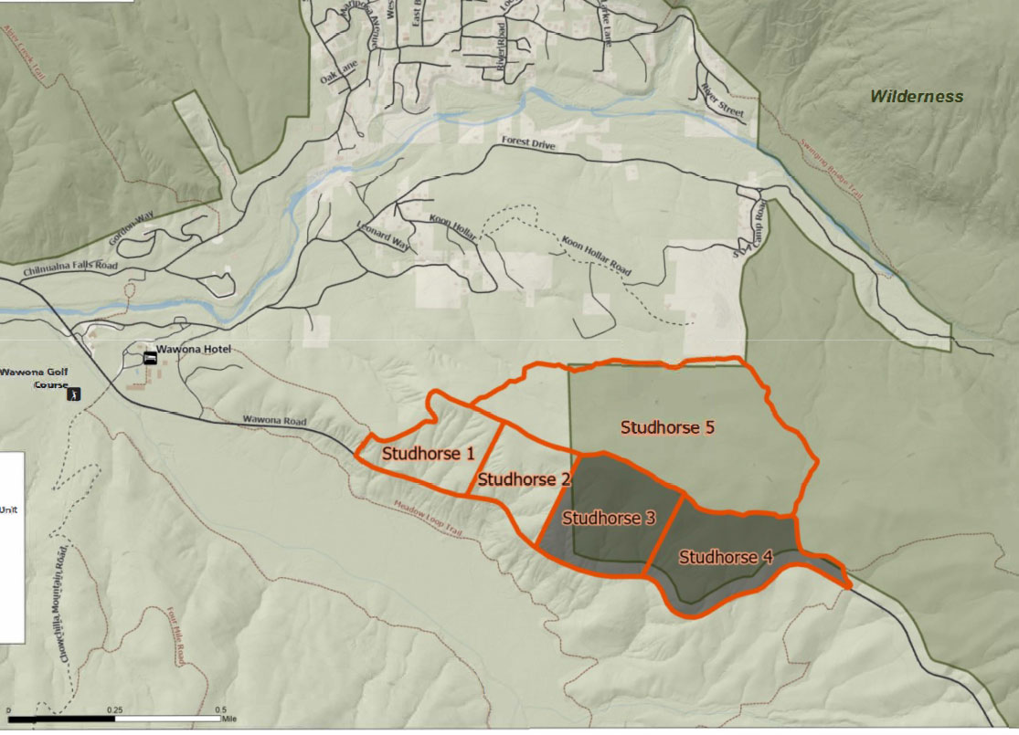 Map showing studhorse burn units as they relate to places in Wawona