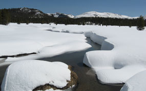 Water flows through a snowy meadow