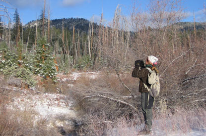 Birder stands in field in winter
