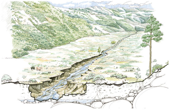 graphic of a degraded meadow landscape